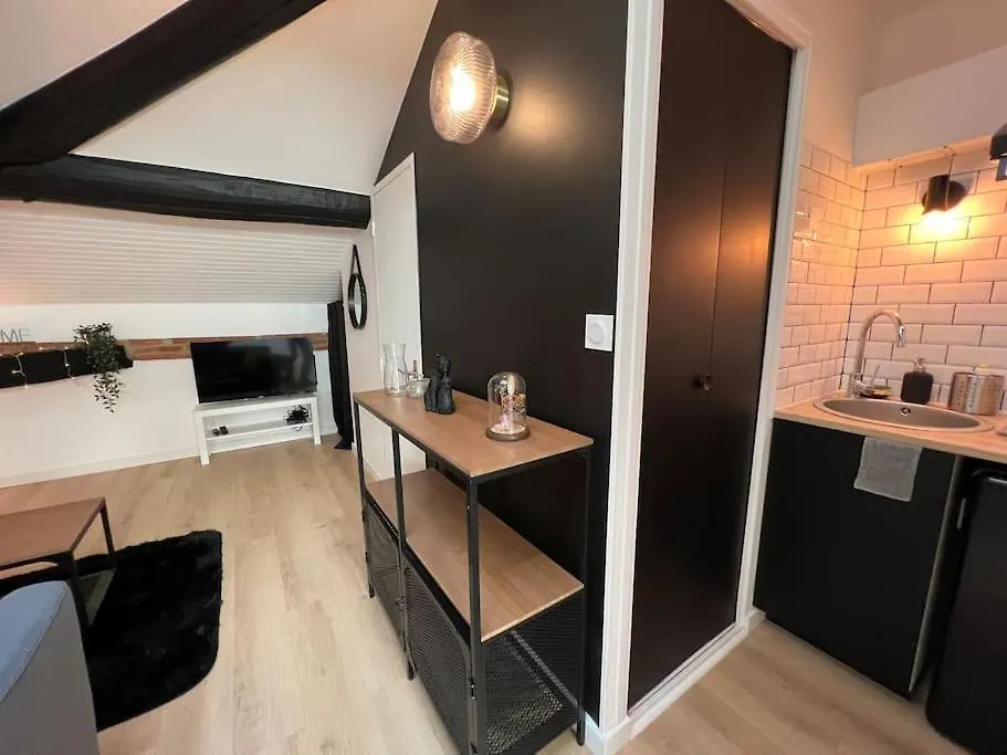 Apartamento Le Germinal - Studio Climatise Calme Proche Du Metro Toulouse